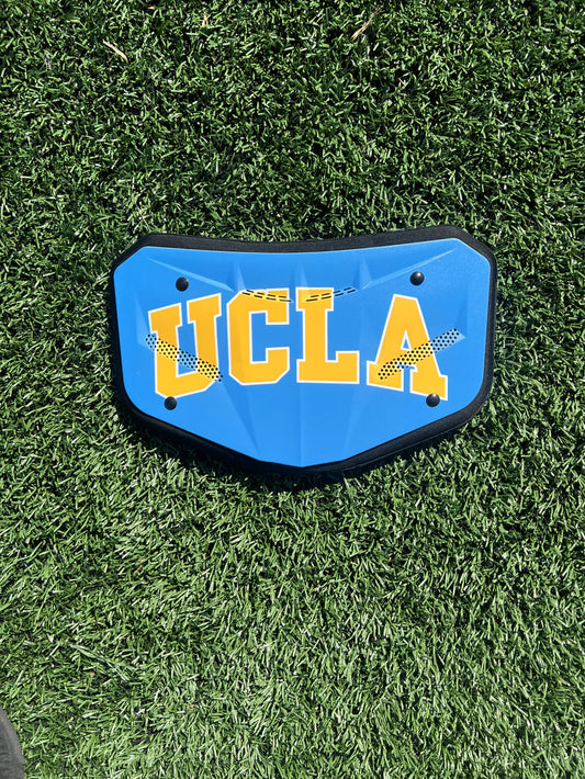 UCLA Backplate 2