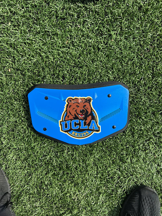 UCLA Backplate 1